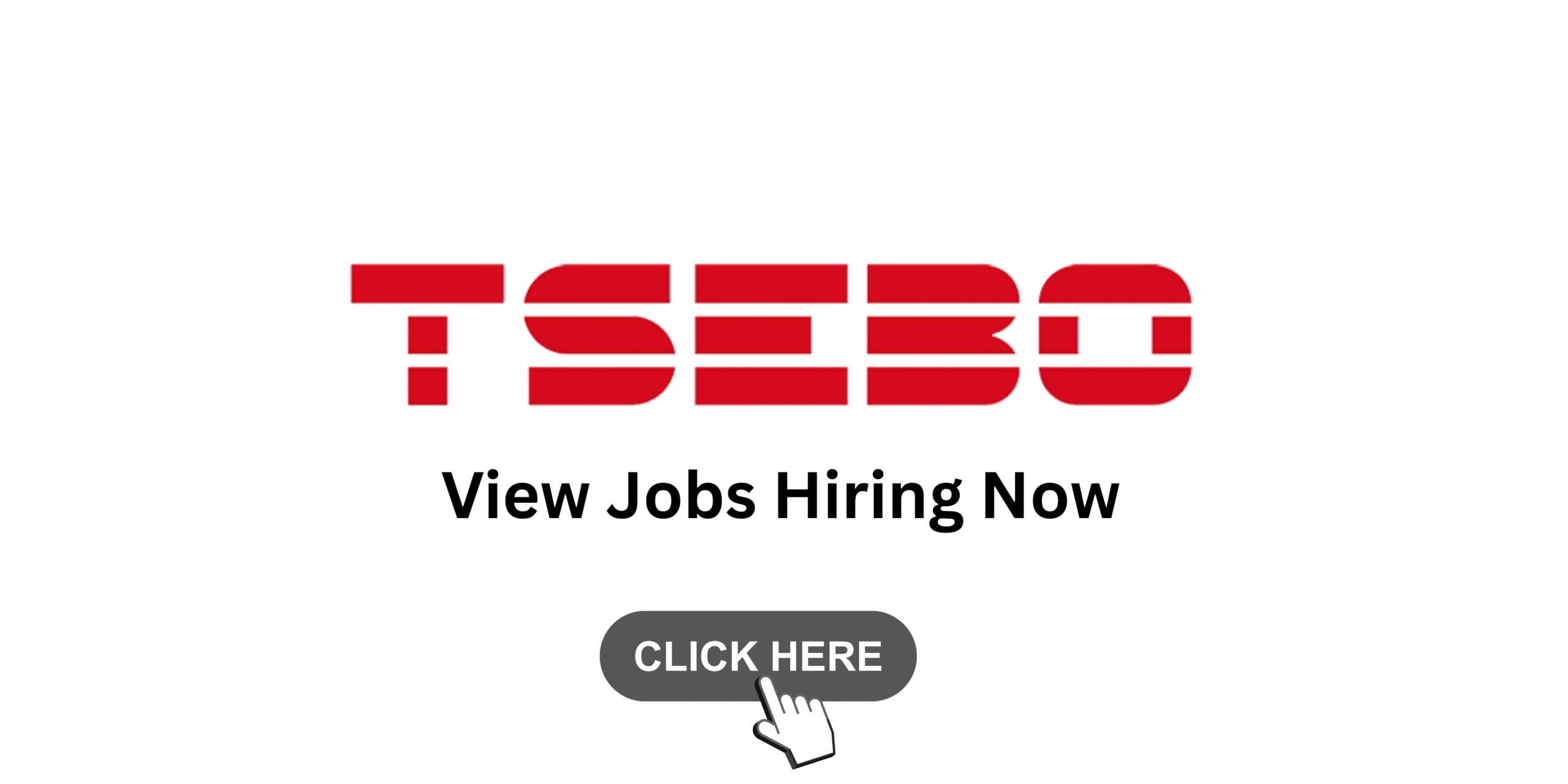 Tsebo jobs